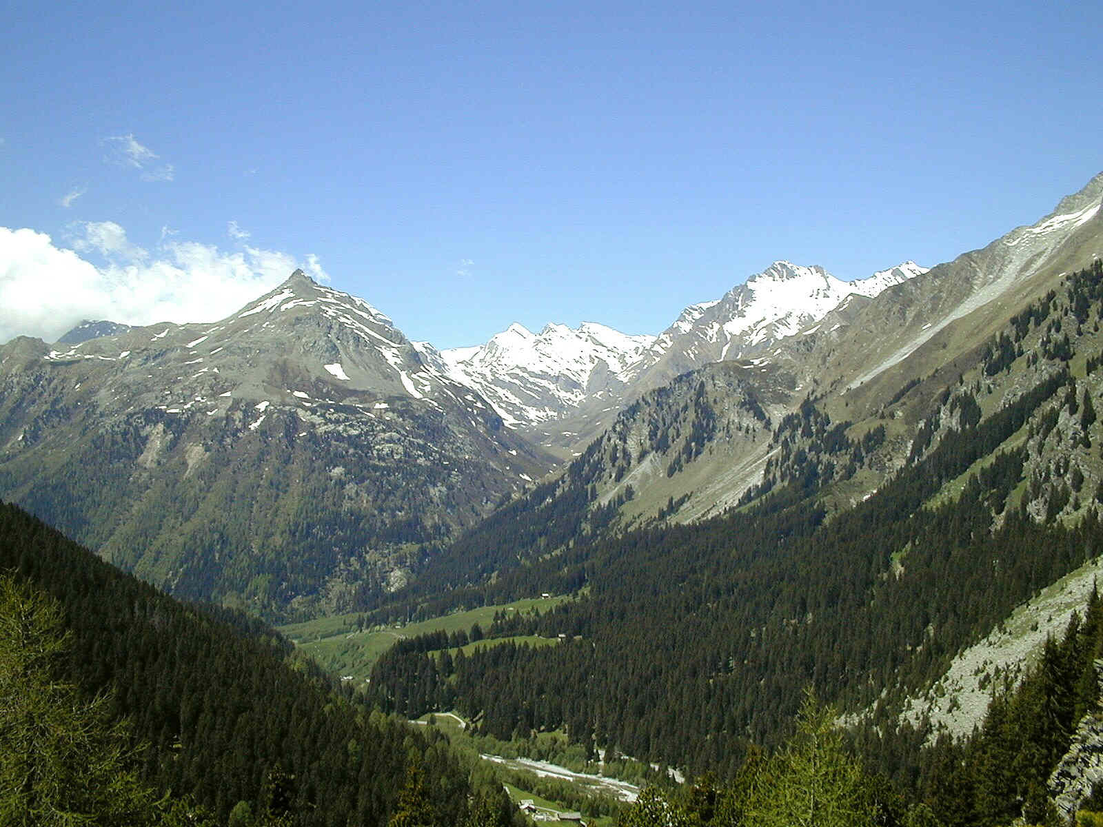 Schweizer Berge