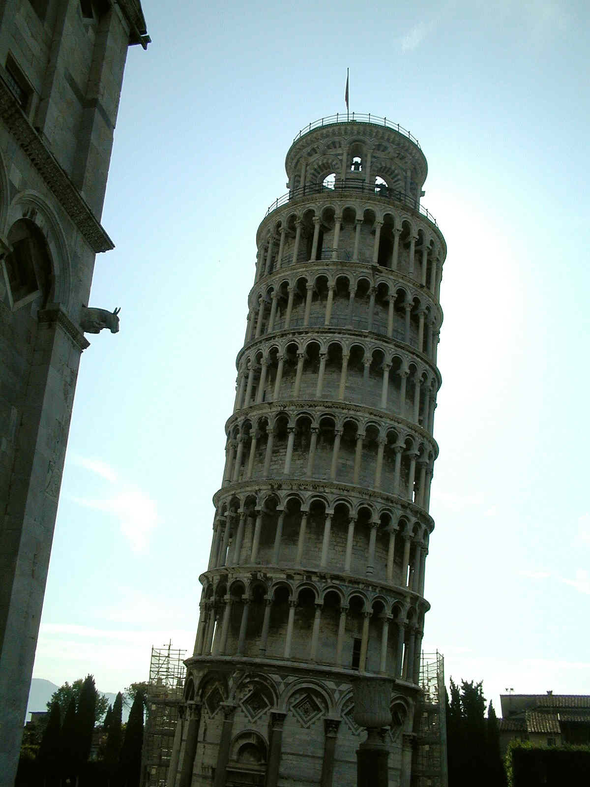 Pisa